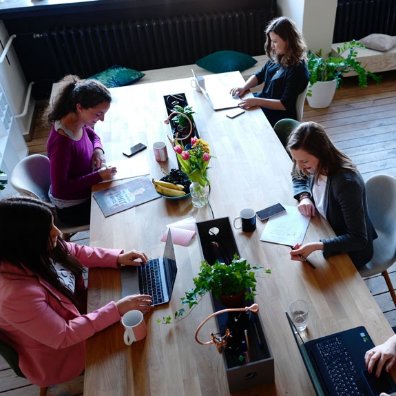 experienced software development workspace at SRH Softwares