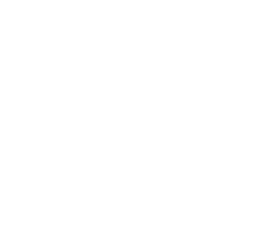 App development expertise - global software company