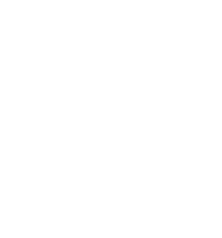 Global software development company - international reach