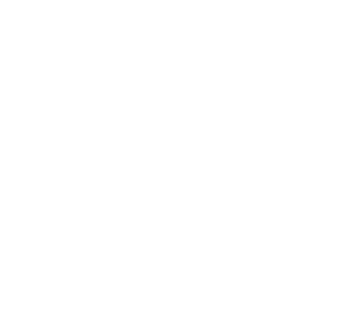 Reliable software solutions - delivery icon