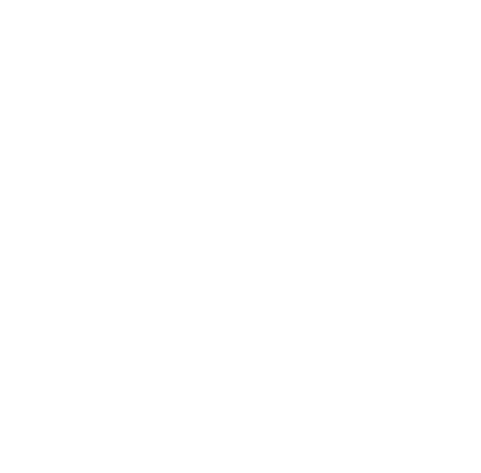 Top software development company - experience icon