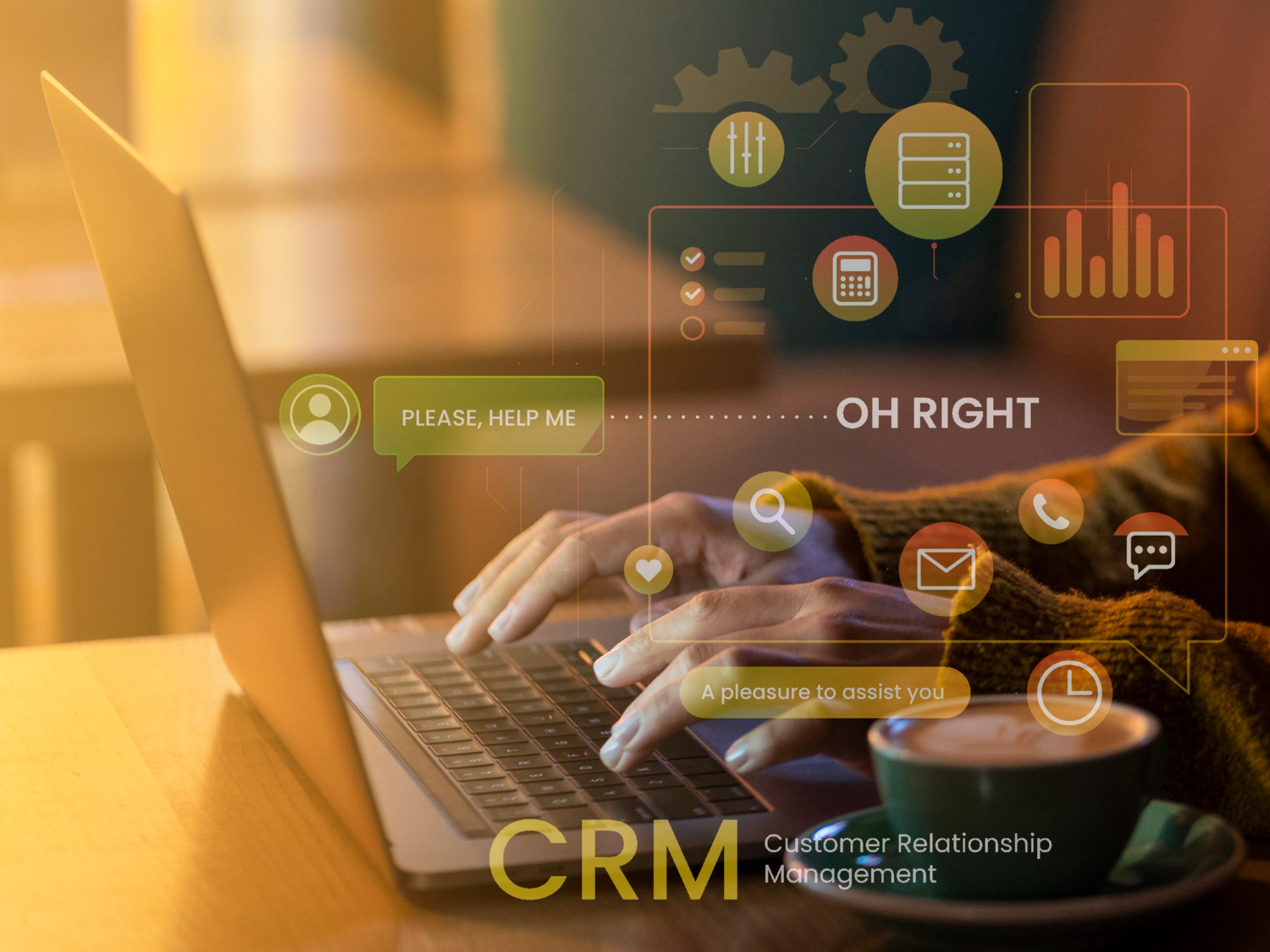 erm crm development